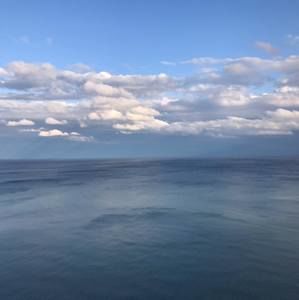 Meet your Posher, Johnny